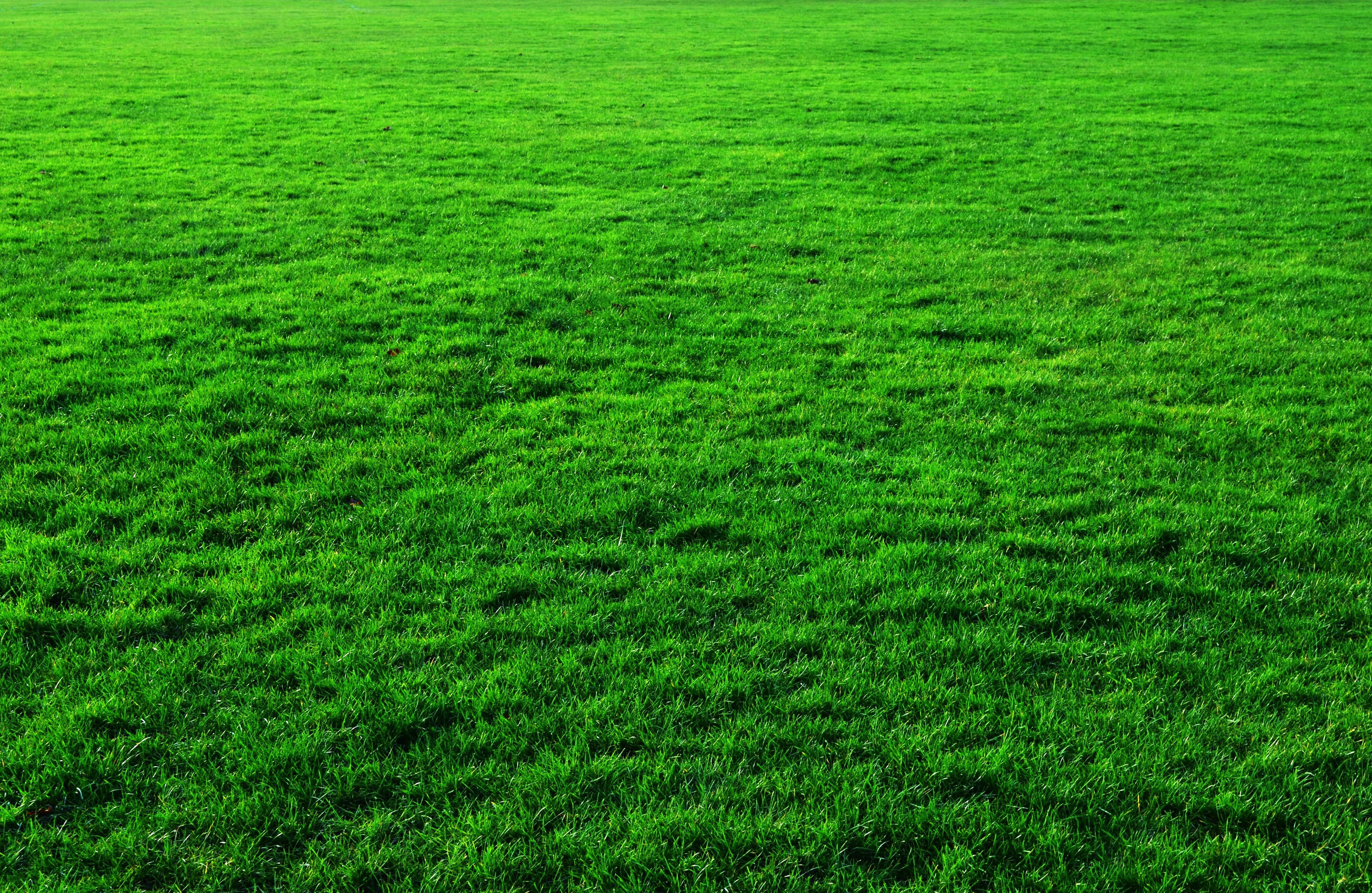 header background